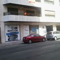 Vinilo completo para escaparate en Sevilla