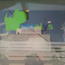 Vinilos publicitarios en Sevilla para escaparates.